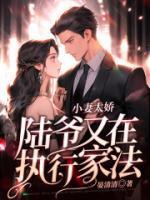 小妻太嬌，陸爺又在執(zhí)行家法