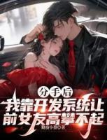 分手后，我靠開發(fā)系統(tǒng)讓前女友高攀不起