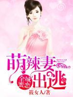 全城蜜戀，萌辣妻出逃