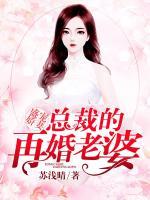 盛寵嬌妻：總裁的再婚老婆