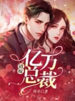 總裁的私寵甜妻