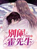 別鬧，霍先生
