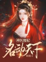 神醫(yī)傻妃名動天下