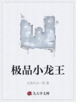 極品小龍王