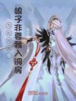 當(dāng)街搶婚，娘子非要我入洞房