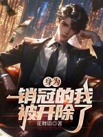 身為銷冠的我，被開除了