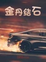 金丹結(jié)石