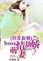 舊愛(ài)新婚：Boss情劫嬌萌妻