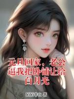 元旦回家，老公逼我把臥鋪讓給白月光