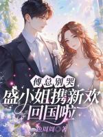 傅總別哭，盛小姐攜新歡回國(guó)啦