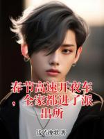 春節(jié)高速開夜車，全家都進(jìn)了派出所