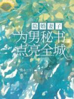 隱婚妻子為男秘書點(diǎn)亮全城