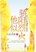 他似驕陽烈火