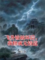 飛升被破壞后，我修成無情道