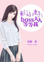 豪門小妻子：boss大人等等我