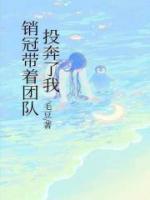 銷冠帶著團(tuán)隊(duì)投奔了我