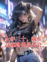 大年三十，我在高速路偶遇老公