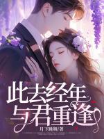 此去經(jīng)年，與君重逢