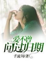 愛不曾問過歸期