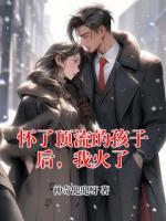 懷了頂流的孩子后，我火了