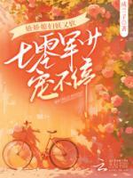 嬌嬌媳婦妖又軟，七零軍少寵不停