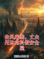 臺(tái)風(fēng)來(lái)襲，丈夫用邊角料做安全屋