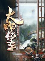 大明紀(jì)事