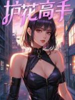 護(hù)花高手