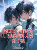 清明時節(jié)雨紛紛，我弟把路人撞斷了魂