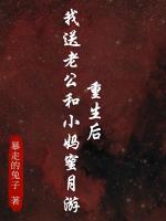 重生后，我送老公和小媽蜜月游
