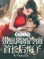 重生七零，帶崽離婚冷面首長后悔了