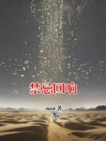 禁忌回響
