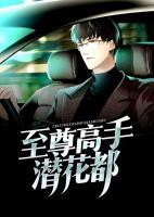 至尊高手潛花都