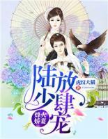 烽火嬌妻：陸少，放肆寵！