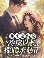非正常結(jié)案：冷戾隊長攬腰求轉(zhuǎn)正