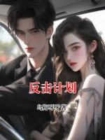 反擊計劃