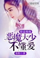 情意綿綿：惡魔大少不懂愛