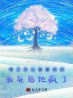 佛子老公兼祧兩房，我死后他瘋了