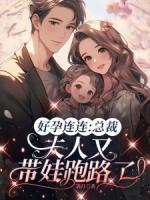 好孕連連：總裁，夫人又帶娃跑路了