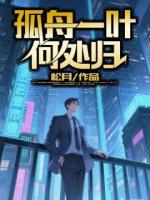 孤舟一葉何處歸