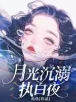月光沉溺執(zhí)白夜