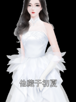 他藏于初夏