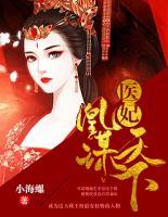 醫(yī)妃凰謀天下