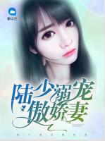陸少溺寵傲嬌妻