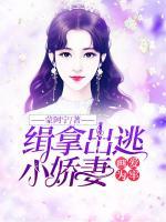 畫愛為牢：緝拿出逃小嬌妻