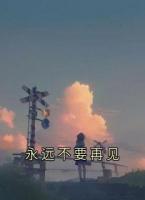 永遠(yuǎn)不要再見(jiàn)