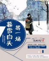 等一場暮雪白頭