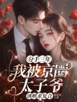 分手三年，我被京圈太子爺誘哄求復(fù)合