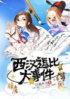 西漢逗比大事件