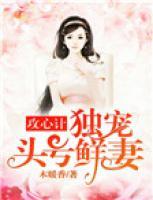 攻心計(jì)：獨(dú)寵頭號(hào)鮮妻